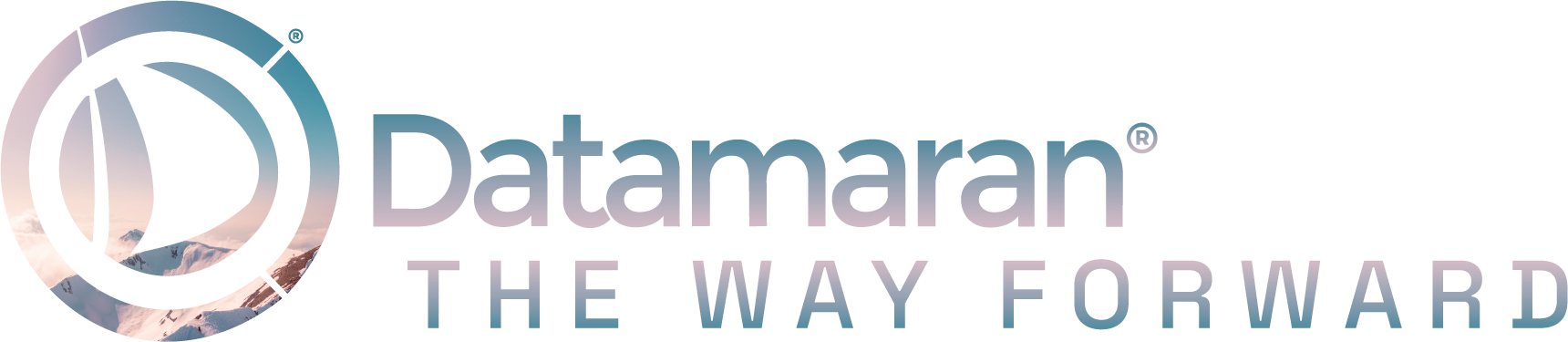 Datamaran logo-2